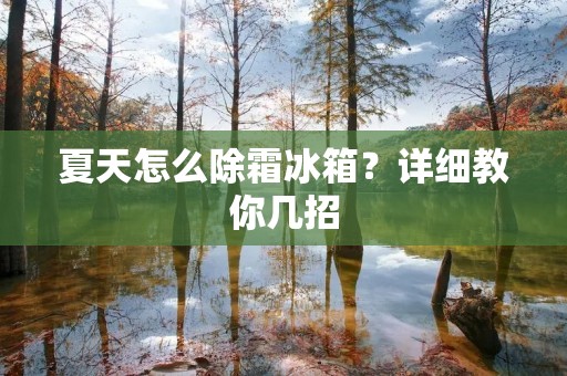 夏天怎么除霜冰箱？详细教你几招