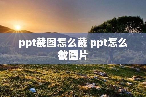 ppt截图怎么截 ppt怎么截图片
