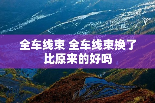 全车线束 全车线束换了比原来的好吗