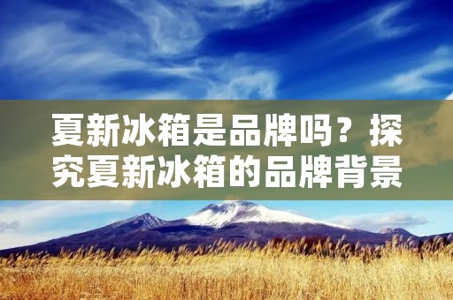 夏新冰箱是品牌吗?探究夏新冰箱的品牌背景与发展历程 夏新冰箱是品牌吗?探究夏新冰箱的品牌背景与发展历程