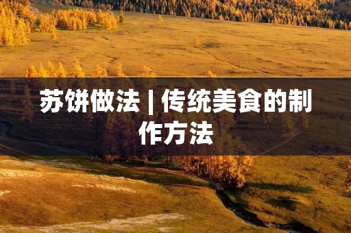 苏饼做法 | 传统美食的制作方法