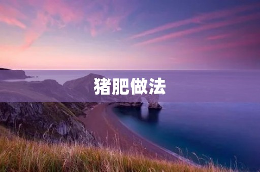 猪肥做法:如何科学饲养猪肥 猪肥做法:如何科学饲养猪肥