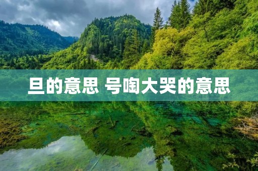 旦的意思 号啕大哭的意思