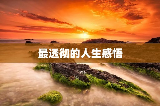 最透彻的人生感悟:走自己的路,让生命在无限可能中绽放
