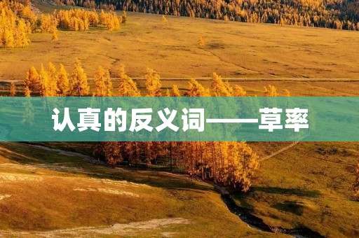 认真的反义词——草率