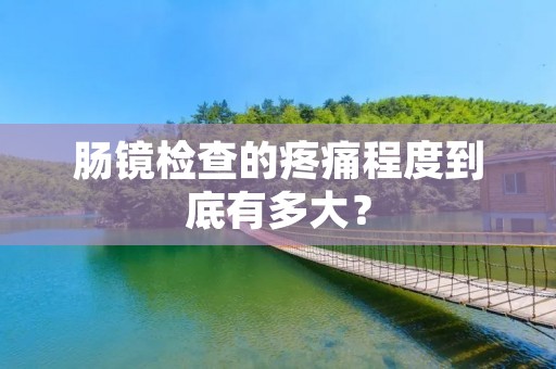 肠镜检查的疼痛程度到底有多大? 肠镜检查的疼痛程度到底有多大?