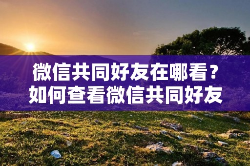 微信共同好友在哪看?如何查看微信共同好友? 微信共同好友在哪看?如何查看微信共同好友?