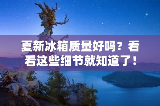 夏新冰箱质量好吗？看看这些细节就知道了！