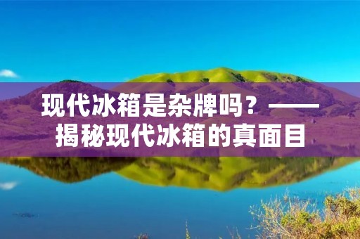 现代冰箱是杂牌吗？——揭秘现代冰箱的真面目