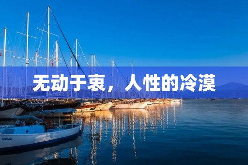 无动于衷,人性的冷漠