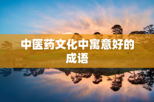 中医药文化中寓意好的成语