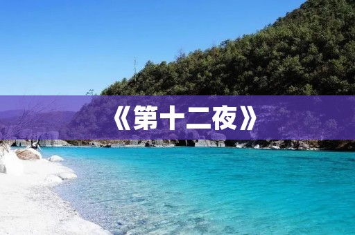 《第十二夜》:爱情与迷失的旅程 《第十二夜》:爱情与迷失的旅程
