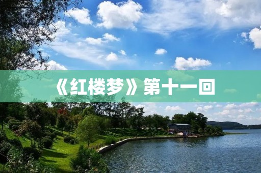 《红楼梦》第十一回:宝玉梦黛玉醉 《红楼梦》第十一回:宝玉梦黛玉醉