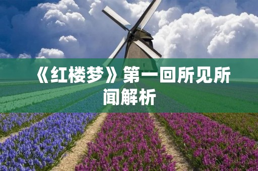 《红楼梦》第一回所见所闻解析