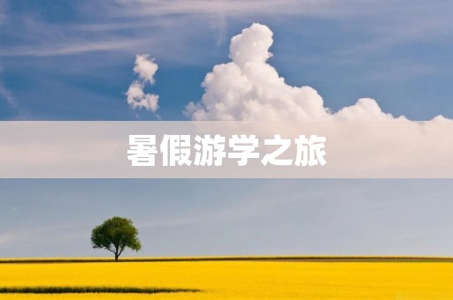 暑假游学之旅