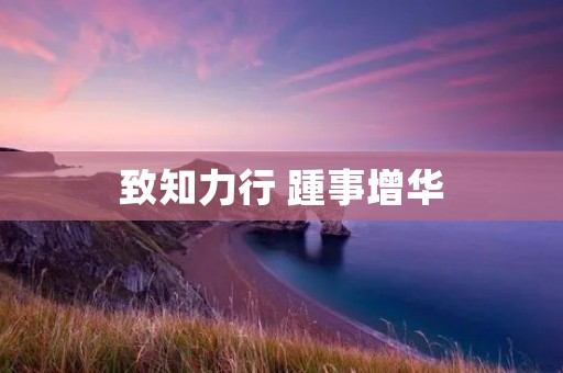 致知力行 踵事增华