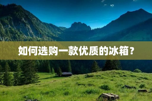 如何选购一款优质的冰箱？