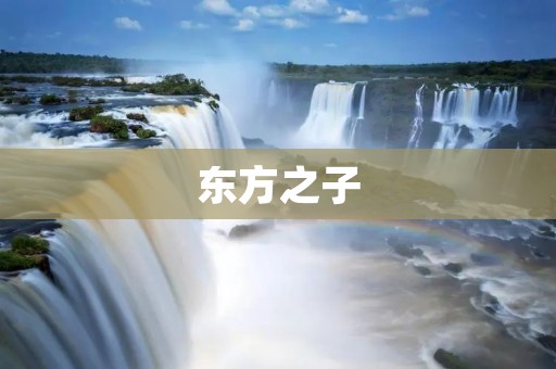 东方之子：一个传奇般的故事