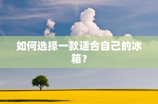 如何选择一款适合自己的冰箱？