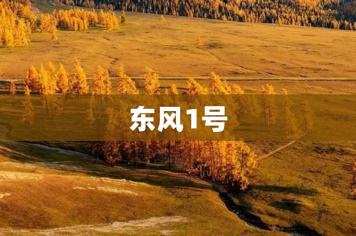 东风1号:中国第一颗人造卫星 东风1号:中国第一颗人造卫星