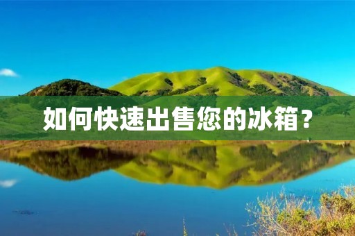 如何快速出售您的冰箱? 如何快速出售您的冰箱?