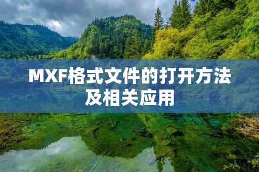 MXF格式文件的打开方法及相关应用