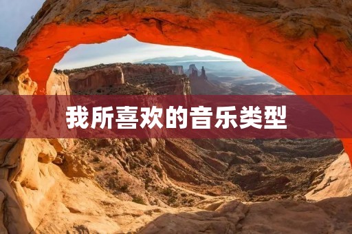 我所喜欢的音乐类型 我所喜欢的音乐类型