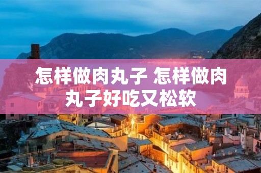 怎样做肉丸子 怎样做肉丸子好吃又松软