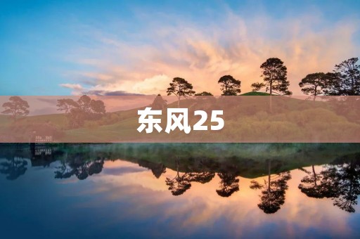 东风25：中国新一代弹道导弹的威力