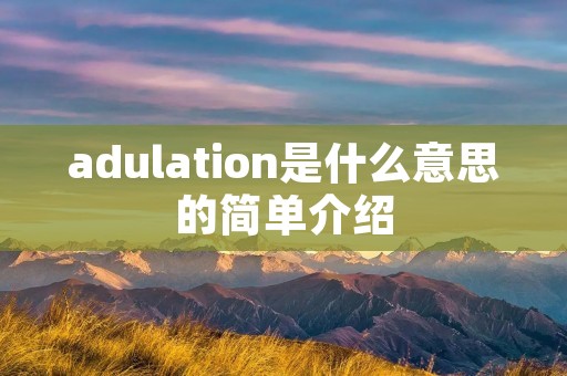 adulation是什么意思的简单介绍