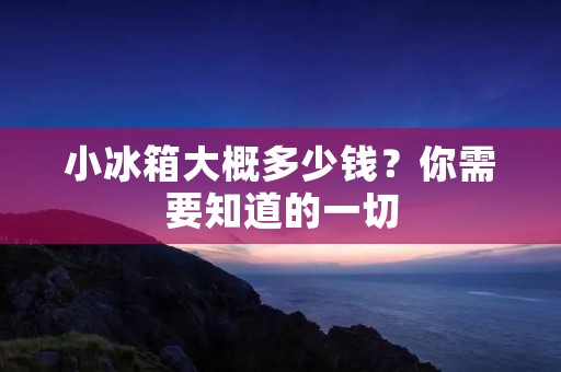 小冰箱大概多少钱？你需要知道的一切