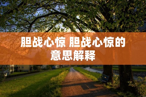 胆战心惊 胆战心惊的意思解释