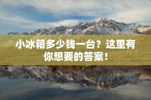 小冰箱多少钱一台？这里有你想要的答案！