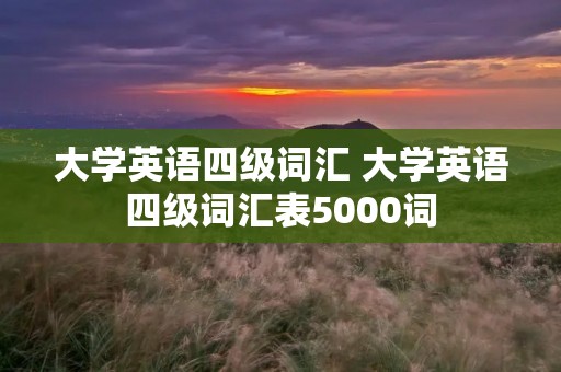 大学英语四级词汇 大学英语四级词汇表5000词