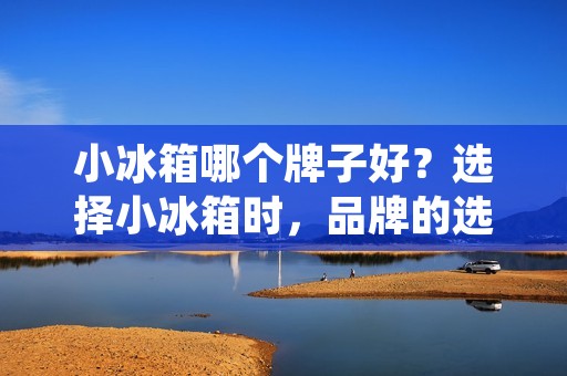 小冰箱哪个牌子好？选择小冰箱时，品牌的选择是非常重要的。不同品牌的小冰箱有着不同的特点和优缺点。那么，哪个品牌的小冰箱值得购买呢？本文将为您详细介绍几个值得购买的小冰箱品牌及其特点。