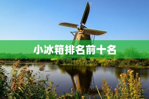 小冰箱排名前十名：为你推荐最佳的小型冰箱