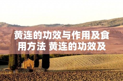 黄连的功效与作用及食用方法 黄连的功效及使用方法