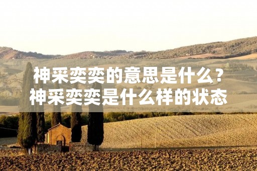 神采奕奕的意思是什么?神采奕奕是什么样的状态?