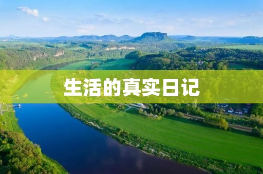 生活的真实日记