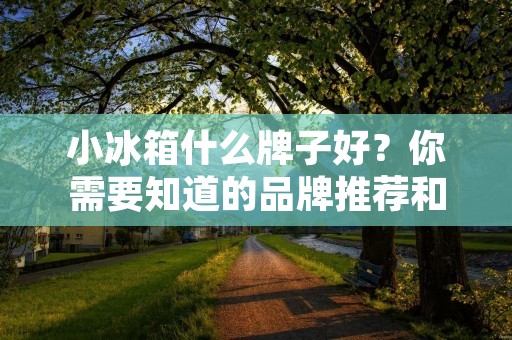 小冰箱什么牌子好？你需要知道的品牌推荐和选购指南