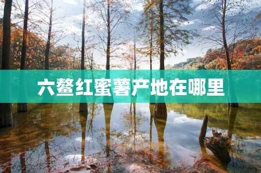 六鳌红蜜薯产地在哪里