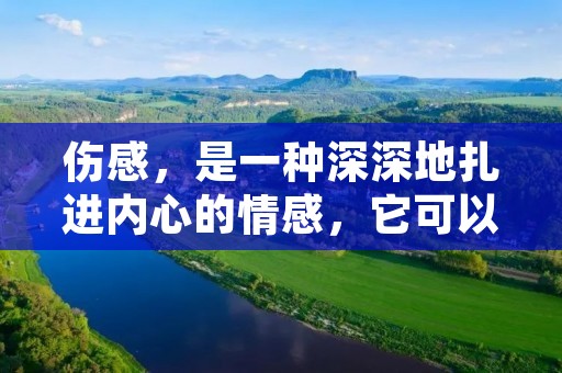 伤感,是一种深深地扎进内心的情感,它可以是因为失恋,亲人离世,朋友背叛等种种原因。无论是什么原因,伤感的感觉总是难以摆脱,像一根刺扎在心头,让人痛苦不堪。