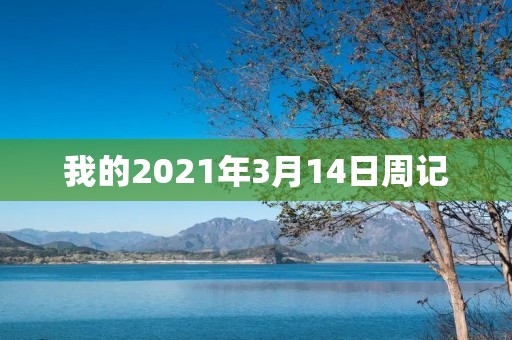 我的2021年3月14日周记