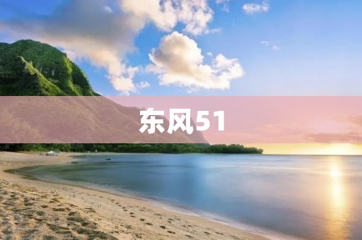 东风51:中国自主研发的战略轰炸机 东风51:中国自主研发的战略轰炸机