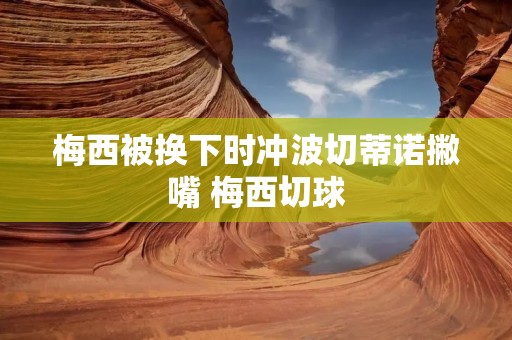 梅西被换下时冲波切蒂诺撇嘴 梅西切球
