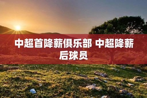 中超首降薪俱乐部 中超降薪后球员 中超首降薪俱乐部 中超降薪后球员
