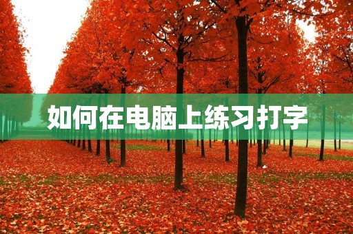 如何在电脑上练习打字 如何在电脑上练习打字