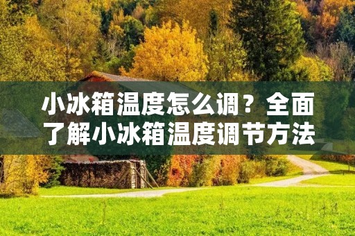 小冰箱温度怎么调？全面了解小冰箱温度调节方法！