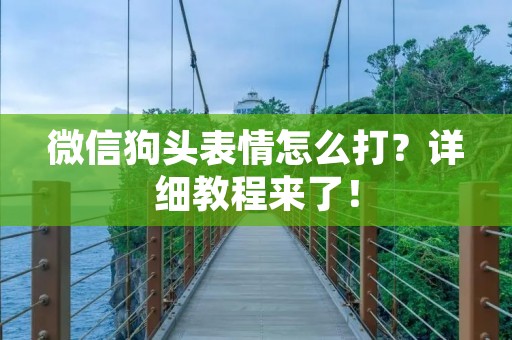 微信狗头表情怎么打?详细教程来了! 微信狗头表情怎么打?详细教程来了!