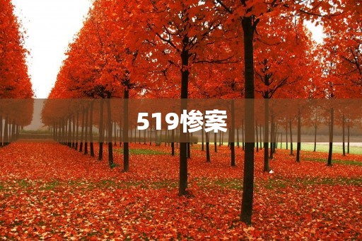 519惨案：重温历史，铭记悲痛